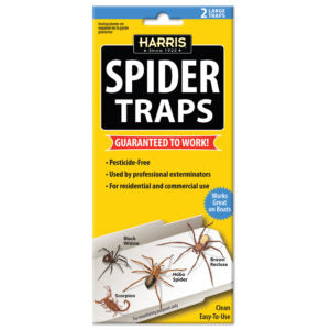 Get Rid of Spiders